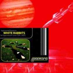 White Rabbits : Spaceland Presents : White Rabbits in Spaceland